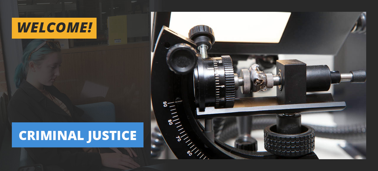 Welcome to Criminal Justice Website