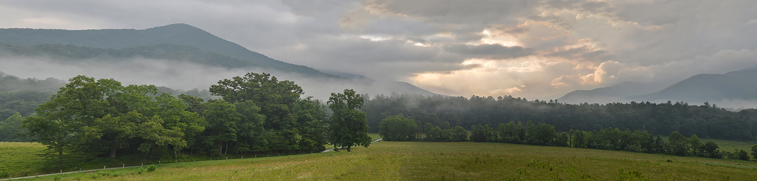 Image of the Blue Ridge Mountains from the vantage of a field, misty fog crawling through the trees in front of the mountains