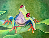 drawing of a tree frog on a leaf