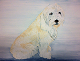 A watercolor painting of a white, long haired dog on a blue background