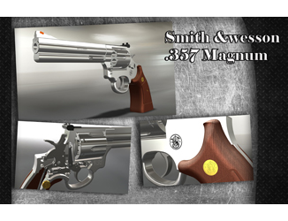 Smith Wesson Gun