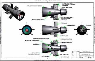 Section 7 Stem