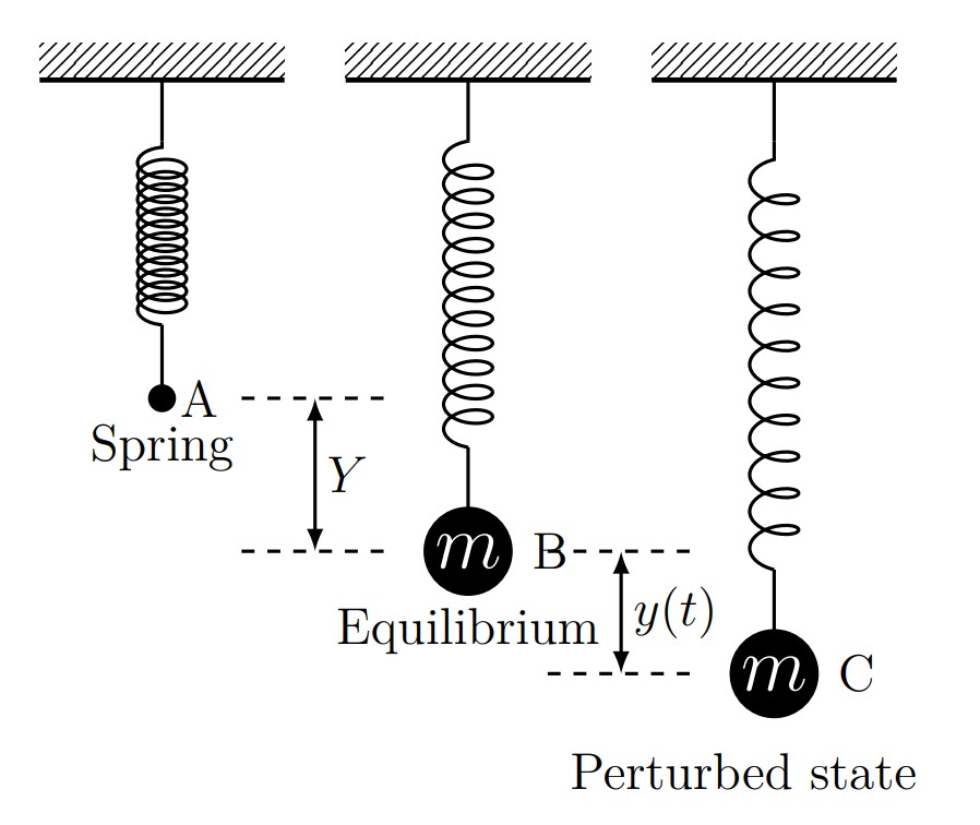 Spring-mass system diagram showing three configurations. Left (A) A spring attached to a fixed support at top with a mass m at the bottom, with vertical distance Y marked showing equilibrium position. Middle (B) The same system at equilibrium position with mass m. Right (C) The system in perturbed state with the mass displaced by distance y(t) from equilibrium. All three show the fixed hatched support at top, with the spring extending downward to the mass. The diagram illustrates how Y represents the natural elongation of the spring under the weight of mass m, while y(t) represents displacement from equilibrium position.