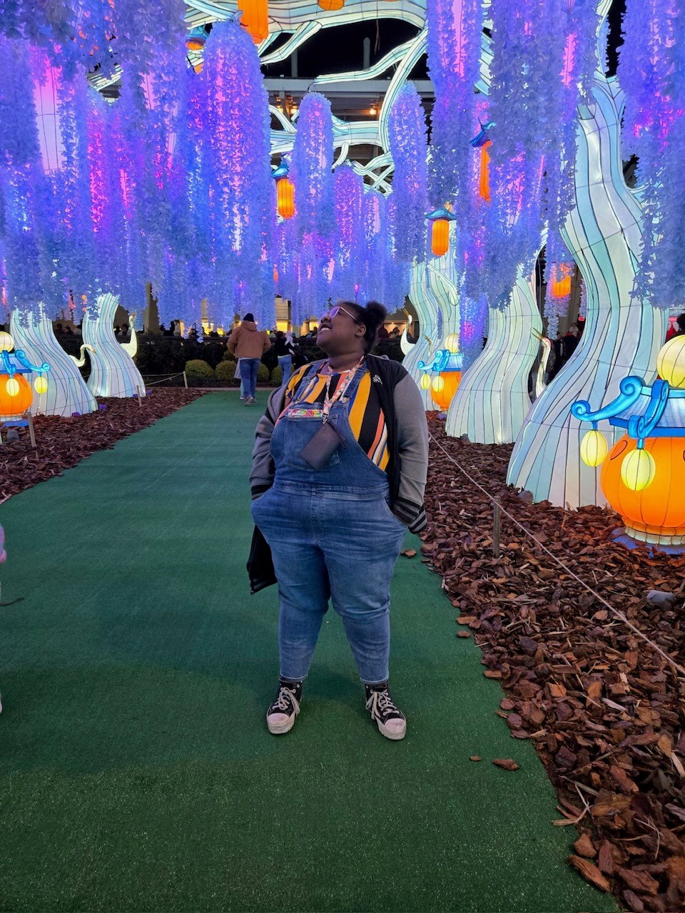 student looking up at lantern art in a lantern park exhibit
