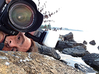 News story image